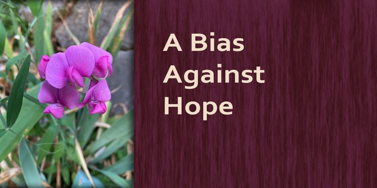 A Bias Against Hope