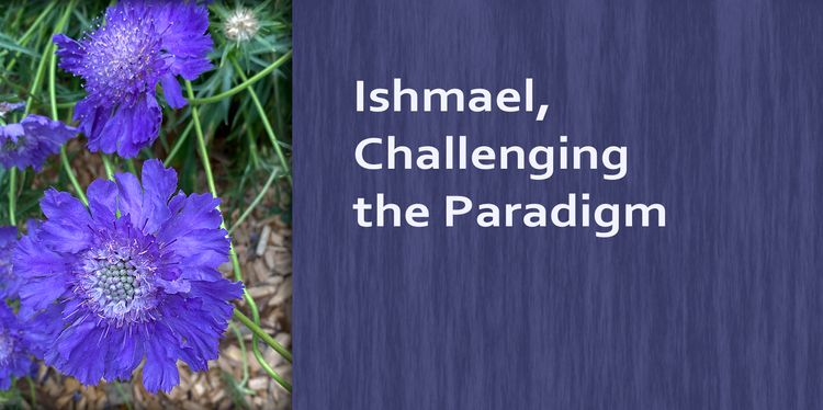 Ishmael, Challenging the Paradigm