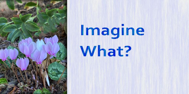 Imagine What?