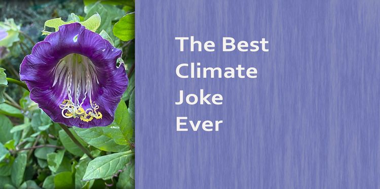 The Best Climate Joke Ever
