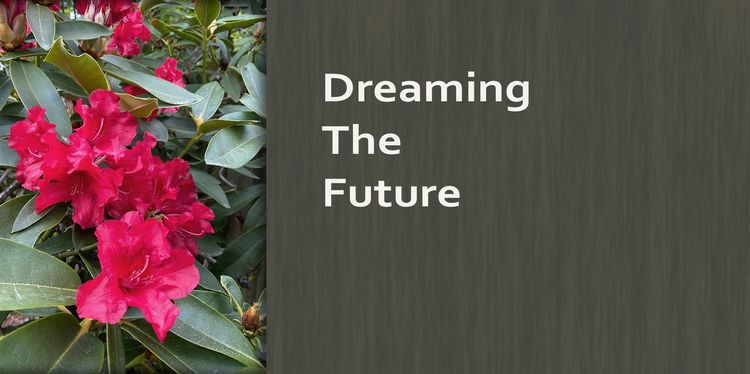 Dreaming the Future