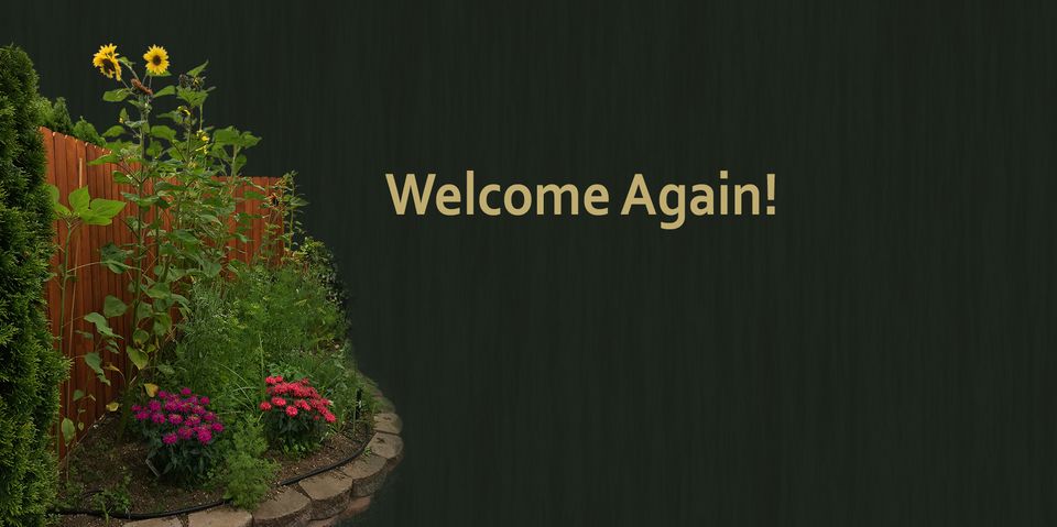 Welcome Again!