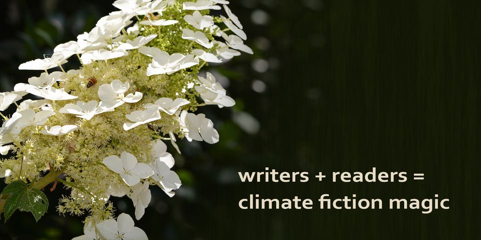 What is a Climate Story Garden?