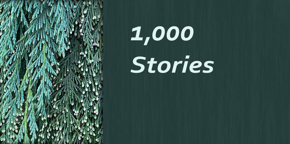 1,000 Stories