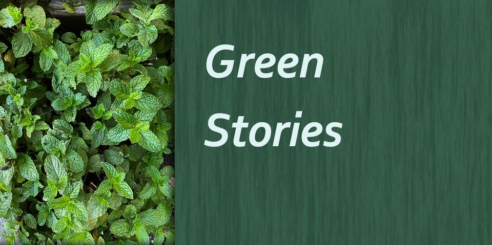 Green Stories