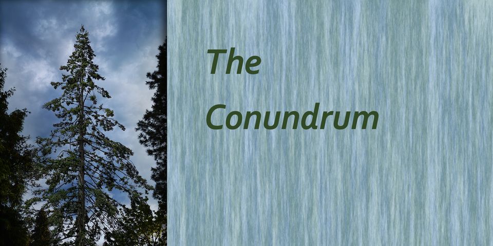 THE CONUNDRUM
