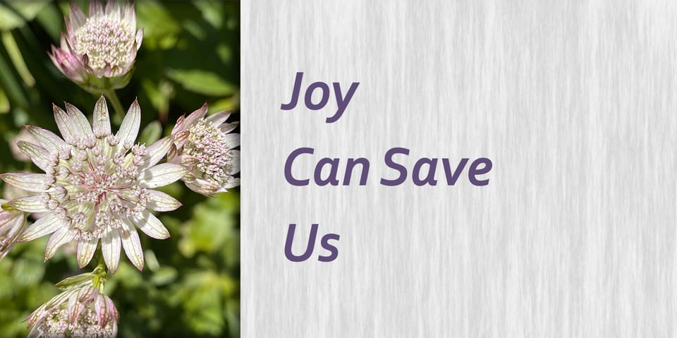 Joy Can Save Us